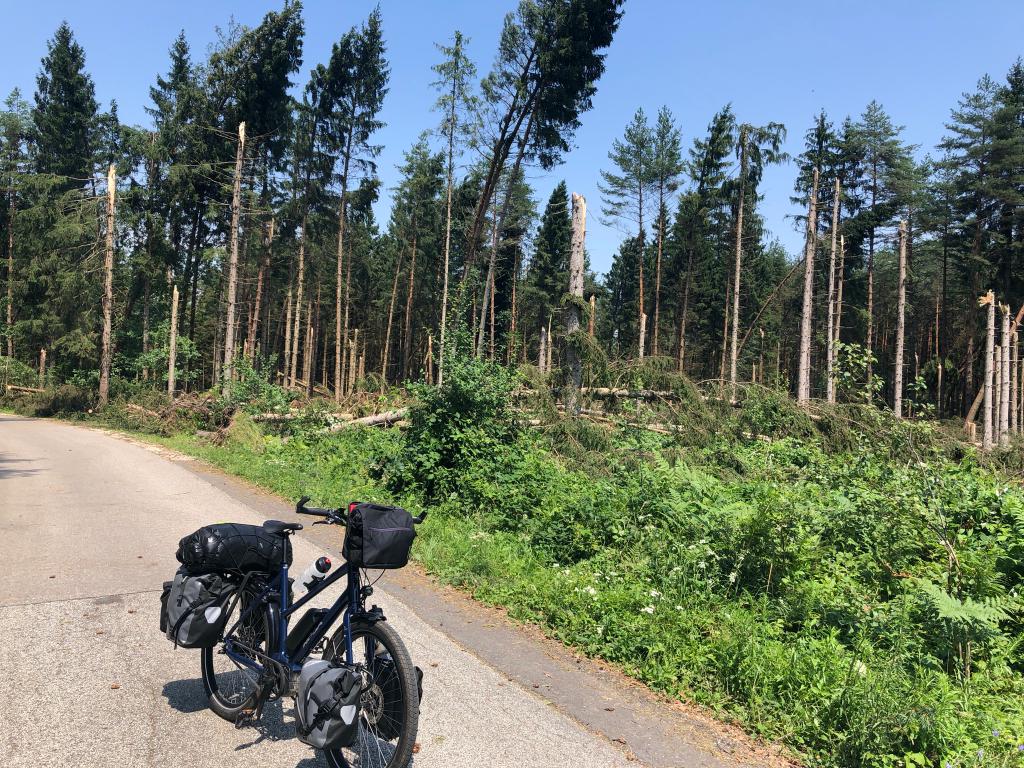 omgewaaide bomen door storm in Steiermark